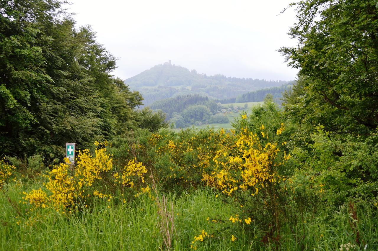 Bed and Breakfast Franky House Am Nuerburgring Quiddelbach Esterno foto