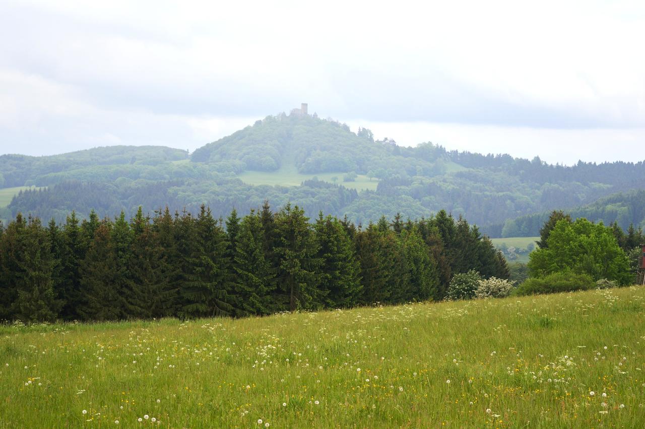 Bed and Breakfast Franky House Am Nuerburgring Quiddelbach Esterno foto